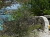 bonaire_10