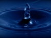 lossebeelden Blue Drop