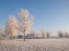 winter-in-ypenburg-28.jpg