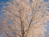 winter-in-ypenburg-30.jpg